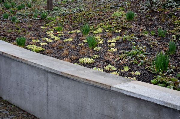 Concrete Wall Construction in Encinitas