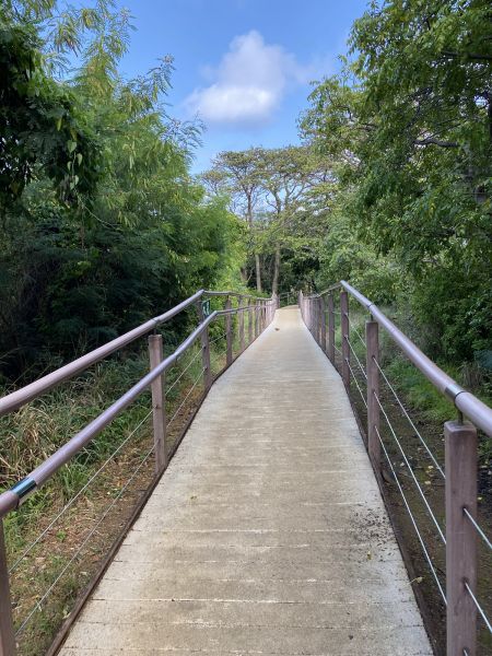 Footpath Construction in Encinitas