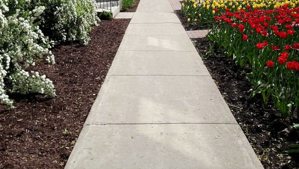 Cement Sidewalk Installation in Encinitas
