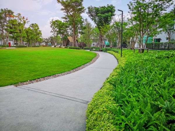 Cement Walkway Service in Encinitas
