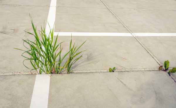 Concrete Parking Installation in Encinitas
