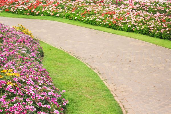 Concrete Walkway Service in Encinitas